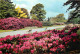 Angleterre - Kew - Royal Botanic Gardens - View Along The Broad Walk - Surrey - England - Royaume Uni - UK - United King - Surrey