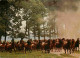 Animaux - Chevaux - Chevaux Sauvages De Dulmen - Dùlmener Wildpferde - Dùlmener Wild-horses - Horses - Pferde - CPM - Vo - Pferde