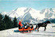 Animaux - Chevaux - Panorama Sur La Chaine Du Mont Blanc - Traineau - CPM - Voir Scans Recto-Verso - Pferde