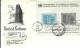 NATIONS UNIES 1960: LSC De New York Pour Heliopolis (Egypte) - Lettres & Documents