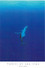 Polynésie Française TAHITI Et Ses îles Baleine à Bosses (B)  (whale) BLU N° CM 37 / Pascal Jagut - Polynésie Française