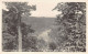 Cumberland Falls State Park (KY) View From Du Pont Lodge - REAL PHOTO - Altri & Non Classificati