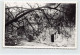 Israel - JERUSALEM - The Garden Tomb - PHOTOGRAPH Postcard Size - Publ. Unknown  - Israel