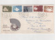 Pays Bas 2 Enveloppe 1er Jour De 1967 Europazegels Et 1er Jour Zomerzegelss - Storia Postale