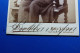 C.D.V Carte De Visite Atelier    DEVOLDER  Bruxelles SCHAERBEEK Studio Fotografie " JEANNE 1892" Pinscher - Ancianas (antes De 1900)