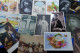 Delcampe - Postkaarten Fotokaarten En Cartes De Visites Varia Lot Ruim  X 267 Stuk - 100 - 499 Cartes