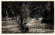 Monasterio De Piedra Parque Pradilla Real Photo  España - Zaragoza