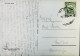 ITALIA - OCCUPAZIONI- TRIESTE ZONA B 1953 Cartolina PIRANO - S6346 - Poststempel