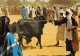 NIGER MARCHE D AYOUROU - Niger