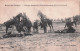 BRASSCHAAT - BRASSCHAET - POLYGONE -  Chevaux Dressés De La 3e Batterie à Cheval ( 2eme Division De Cavalerie )  - Brasschaat