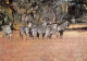 MOZAMBIQUE Mocambique GORONGOSA Zebra Zebre   10 (scan Recto Verso)KEVREN08VIC - Mozambique
