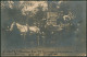 Carte Photo - Souvenir De L'évacuation Des Boche 1918 (charette + Pancarte évacué Tourcoing Et Mouscron). - Mouscron - Möskrön