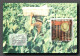 Culture Du Tabac, Cuba, Habanos, Plantation (scan Recto-verso) KEVREN0147 - Landwirtschaftl. Anbau