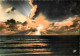 Coucher De Soleil - CPM - Voir Scans Recto-Verso - Controluce