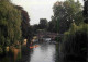 Angleterre - Cambridge - Punting On The River Cam Near Clare Bridge - Cambridgeshire - England - Royaume Uni - UK - Unit - Cambridge
