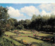 14 - Thury Harcourt - Jardin D'été Dans Le Parc Du Château - Carte Neuve - CPM - Voir Scans Recto-Verso - Thury Harcourt