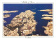  MALTE  MALTA  VALETTA - Malta