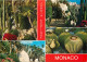  MONACO  JARDIN EXOTIQUE - Exotische Tuin