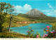 IRELAND ERRIGAL MOUNTAIN FROM GWEEDORE DONEGAL - Altri & Non Classificati