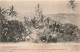 NOUVELLE CALEDONIE - Une Case - Deux Indigènes Grimpant Au Cocotier - Carte Postale Ancienne - New Caledonia