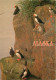 ETATS UNIS USA ALASKA PUFFINS - Other & Unclassified