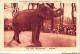 AJKP2-0209 - ANIMAUX - PARC ZOOLOGIQUE - ELEPHANT - Olifanten