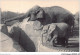 AJKP2-0170 - ANIMAUX - UN ELEPHANT D'ASIE FEMELLE ET MICHELINE JEUNE ELEPHANT D'AFRIQUE  - Olifanten