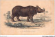 AJKP2-0120 - ANIMAUX - LE RHINOCEROS D'ASIE  - Rhinocéros