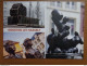Delcampe - Doos Postkaarten (4kg055) Allerlei Landen En Thema's, Zie Vele Foto's (voir Beaucoup Des Photo's) - 500 Cartoline Min.