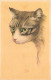 ANIMAUX & FAUNE - Chat - Dessin - Carte Postale Ancienne - Cats