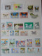 Delcampe - Collection De Timbres Sur Le Thème Des Papillons. - Collections (without Album)