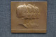 Superbe Ancienne Scupture Sur Bronze Signé C. Devreese,la Dynastie Belge,les Reines, 80 Mm./70 Mm. - Bronzi