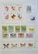 Delcampe - Collection De Timbres Sur Le Thème Des Papillons. - Collections (without Album)