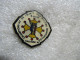 PIN'S    TOULOUSE  CHAMPIONNAT  DE FRANCE  DES POLICES  MUNICIPALES   92      Email Grand Feu - Police