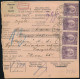 1924 Háromnyelvű Csomagszállító 9 Db Bélyeggel Bérmentesítve, Kétnyelvű "APATIN" Bélyegzéssel Zágrábba / Trilingual Parc - Andere & Zonder Classificatie