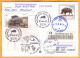 2018 Moldova Moldavie FDC Used Fauna Nature, Nature Reserve. Forest. Animals. Boar - Moldavie