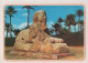 9000017 - Gizeh - Giza - Ägypten - Sphinx - Gizeh