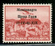 Occupazioni II Guerra Mondiale - Montenegro - 1941 - 2,50 Din Posta Aerea (4 G) - Errore X1X - Gomma Integra - Other & Unclassified