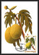Delcampe - 5851 Carte Maximum (card) S Tome E Principe Mi N°744/749 Fruits Fruts 1981 Ananas Café Cacao Mangue Fdc Coffee - Fruits