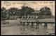 OLTREMARE - BERMUDE - 1/2 Penny (26) Su Cartolina Da Mangrove A Firenze Del 25.4.1907 - Autres & Non Classés