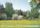 Postal Stationery - Summer Landscape - Scene - Red Cross 2002 - Finlandia - Suomi Finland - Postage Paid - Postal Stationery