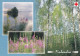 Postal Stationery - Summer Landscape - Lake - Red Cross 2003 - Finlandia - Suomi Finland - Postage Paid - Postal Stationery