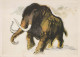 ELEFANTE Animale Vintage Cartolina CPSM #PBS757.IT - Éléphants