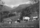 Delcampe - Bon LOT De 30 Cartes GF AGRICULTURE Elevage - ANIMAUX De La FERME :dont 20 Dentelées Chevaux Anes Vaches Moutons ... - 5 - 99 Cartoline