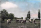 Delcampe - Bon LOT De 30 Cartes GF AGRICULTURE Elevage - ANIMAUX De La FERME :dont 20 Dentelées Chevaux Anes Vaches Moutons ... - 5 - 99 Cartoline