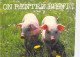 Delcampe - Bon LOT De 30 Cartes GF AGRICULTURE Elevage - ANIMAUX De La FERME :dont 20 Dentelées Chevaux Anes Vaches Moutons ... - 5 - 99 Cartoline