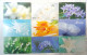 PHONECARD - 18 Japan  NTT Flower Phonecards Orchid Lily Forget-me-not Flowers Etc - Japón