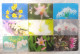 PHONECARD - 18 Japan  NTT Flower Phonecards Orchid Lily Forget-me-not Flowers Etc - Japón