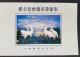 China Chinese Painting Bird 1986 Crane Birds (souvenir Sheet) MNH *vignette *see Scan - Neufs