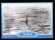 MONSTRE DU LOCH NESS N° R80043 - LOCH NESS MONSTER - NESSIE SCOTLAND - S1 - Fairy Tales, Popular Stories & Legends